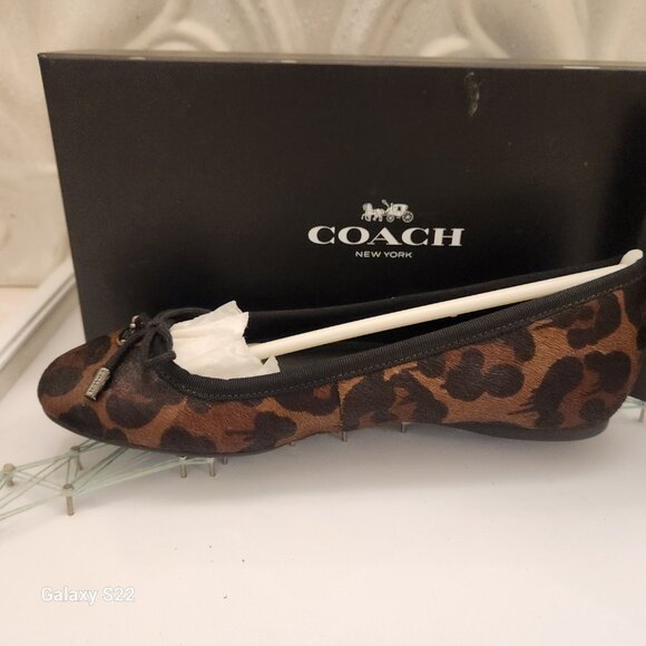 Coach "Lara Wildbeast" Print Flats. Haircalf. NIB. Size Various - Picture 4 of 12